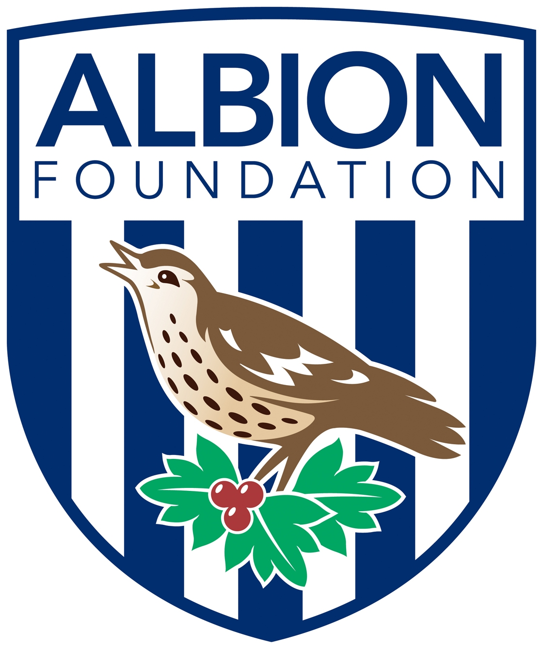 Albion Foundation logo